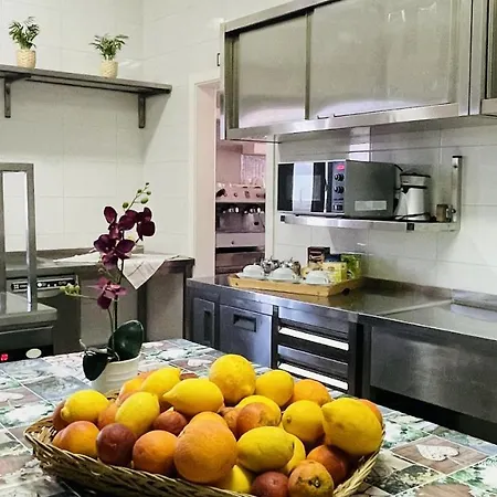 Quinta Da Carla S 알고스