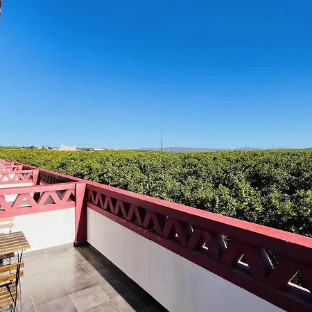 Quinta Da Carla S ヴィラ *