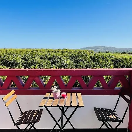 Quinta Da Carla S Algoz